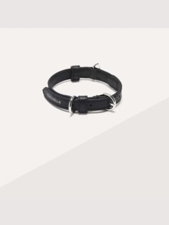 Accessoires pour animaux
