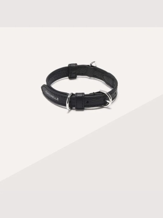 Accessoires pour animaux