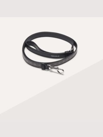 Accessoires pour animaux
