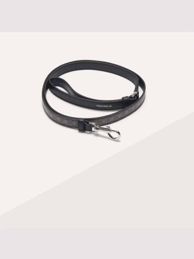Accessoires pour animaux