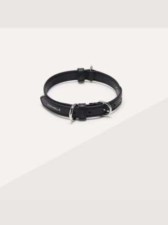 Accessoires pour animaux