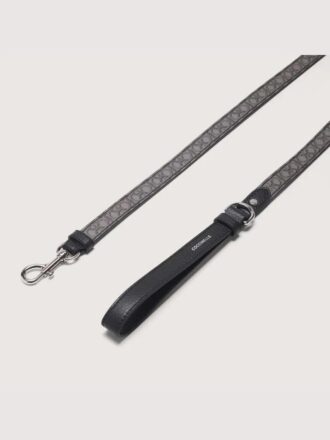 Accessoires pour animaux