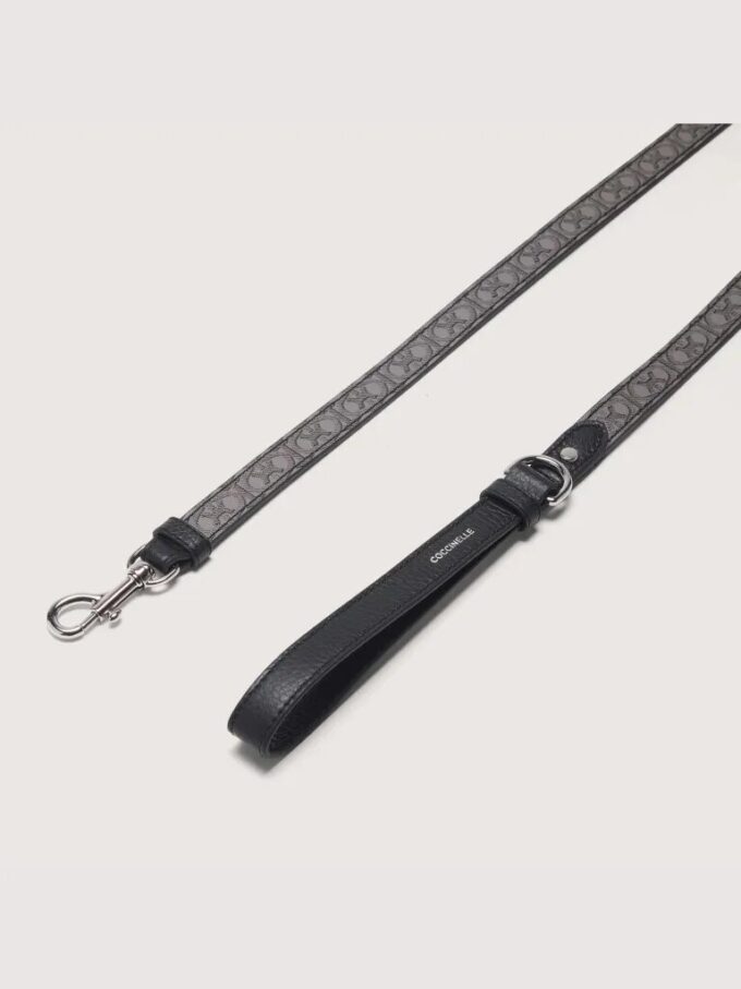 Accessoires pour animaux
