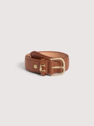 Boucle métallique Coccinelle