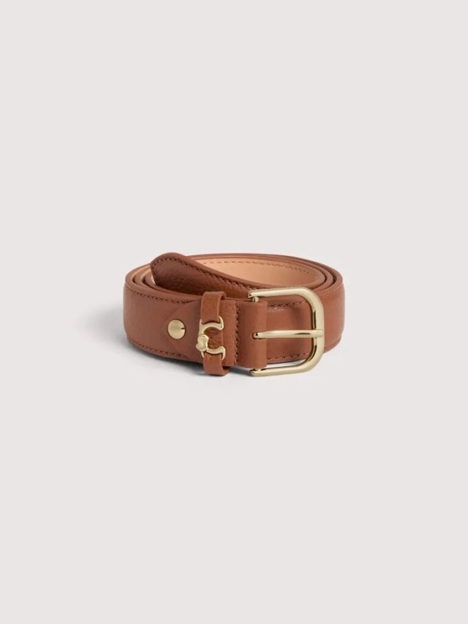 Boucle métallique Coccinelle