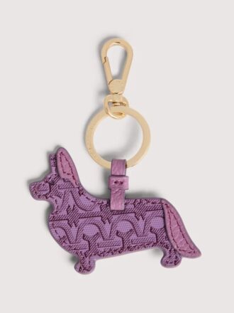 Capsule pour animaux de compagnie