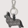 Capsule pour animaux de compagnie
