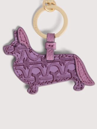 Capsule pour animaux de compagnie