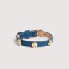 Clous d&rsquo;oreilles Coccinelle C-Me