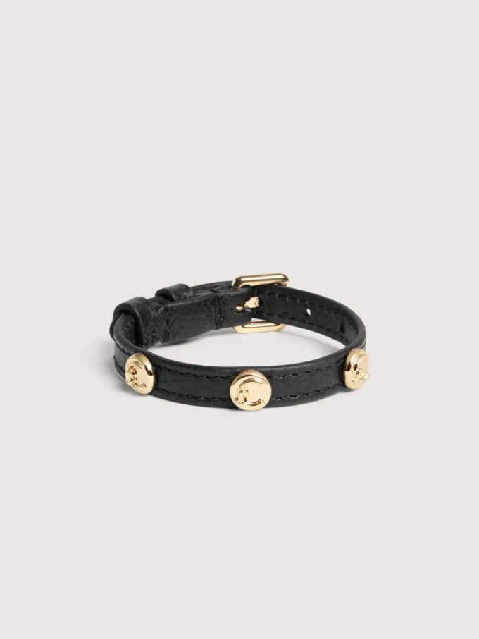 Clous d&rsquo;oreilles Coccinelle C-Me