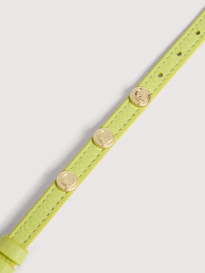 Clous d&rsquo;oreilles Coccinelle C-Me
