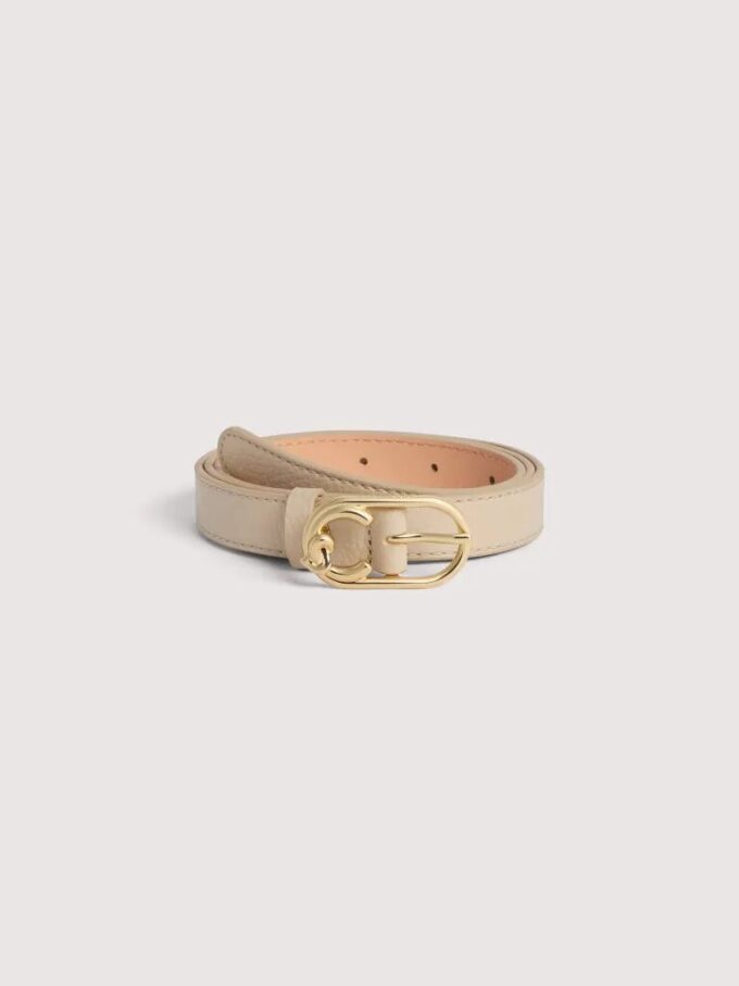 Coccinelle C-Me