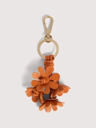 Fleurs Coccinelle